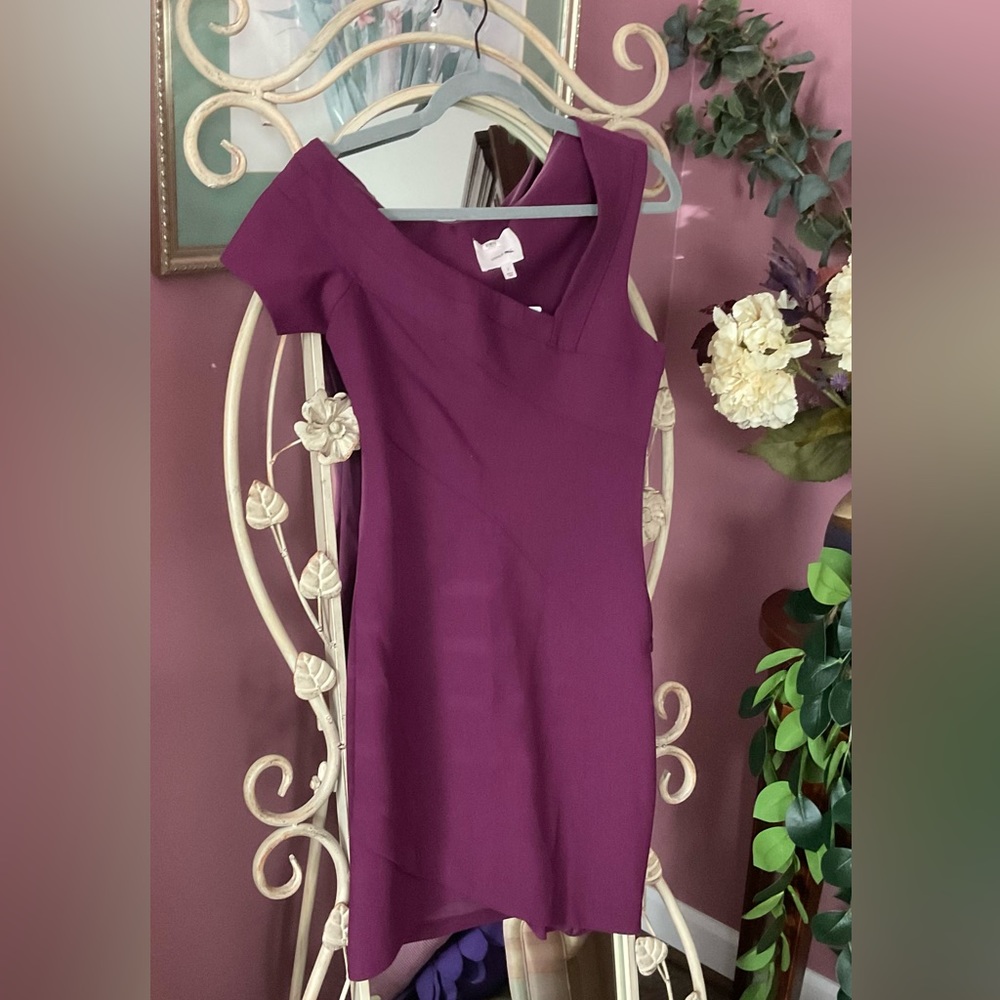 Today Only!!! Cinq A Sept Raspberry Colored, Form… - image 3